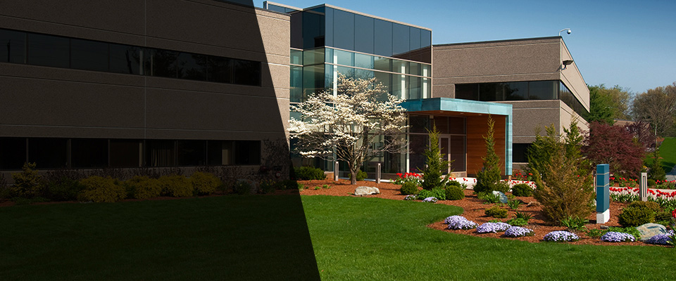 Centereach Landscapers