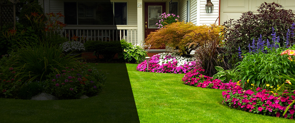 Centereach Landscapers