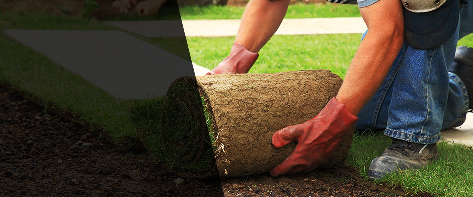 Centereach Landscapers